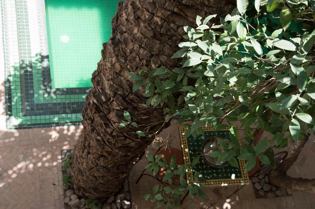 Riad Palmier (Adults Only) Μαρακές Εξωτερικό φωτογραφία